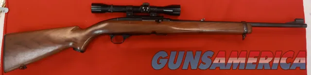 Winchester Mod 100 .243