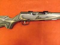 A17 TARGET SPORTER LAMINATE 17 HMR cal