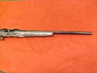 A17 TARGET SPORTER LAMINATE 17 HMR cal