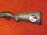 A17 TARGET SPORTER LAMINATE 17 HMR cal