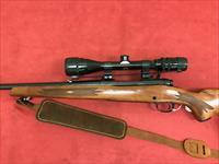 Ted Williams Model 53 30-06