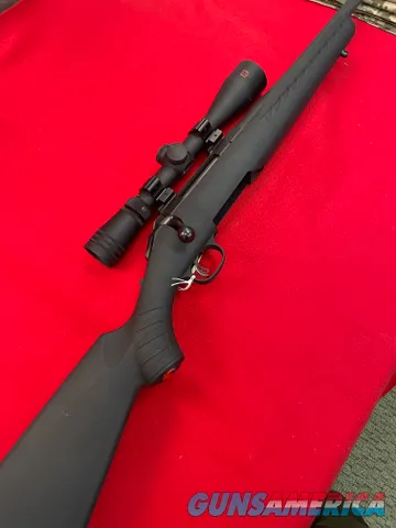 Ruger American