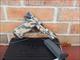 KelTec Kel-Tec Kel Tec PMR 30 PMR30 SPECIAL LIMITED EDITION CAMO 22 Magnum (2) 30 Rd Mags New In Box
