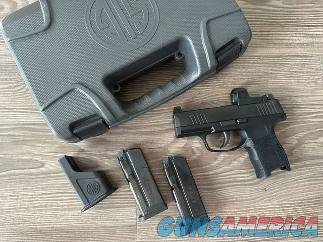 Sig Sauer P365 810105514643 Img-5