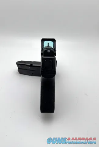 Sig Sauer P365 with Holosun 407K X2