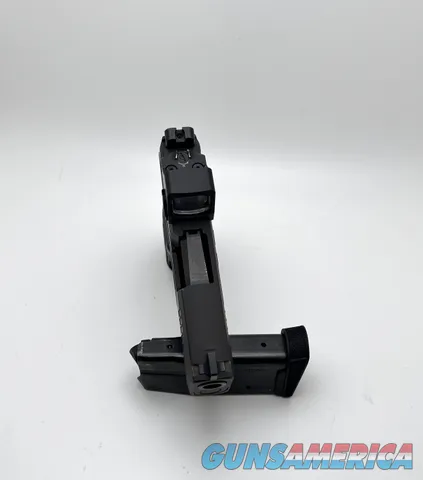 Sig Sauer P365 with Holosun 407K X2