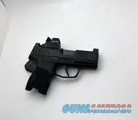 Sig Sauer P365 with Holosun 407K X2