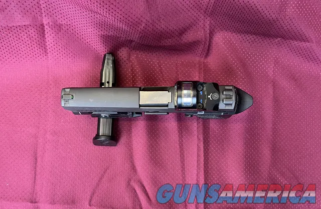 Sig Sauer P320F with Holosun and Streamlight