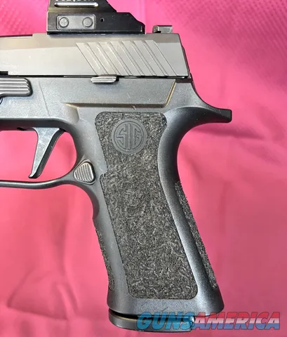 Sig Sauer P320F with Holosun and Streamlight