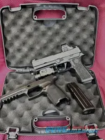 Sig Sauer P320F with Holosun and Streamlight