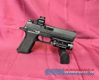 Sig Sauer P320F with Holosun and Streamlight