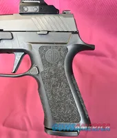 Sig Sauer P320F with Holosun and Streamlight