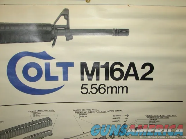 Colt AR-15 098289020253 Img-10