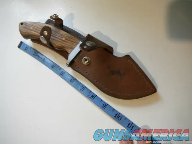 Colt Skinner CT7-BP Hunting Fixed Blade Gut Hook Knife with Sheath Img-7