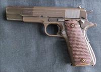 Colt   Img-1