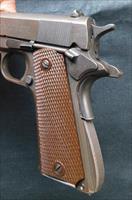 Colt   Img-6