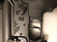 Custom built 450 Bushmaster