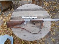 marlin golden 39A chrome 22lr