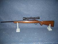 RUGER 77/22 IN 22 HORNET