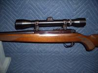 RUGER 77/22 IN 22 HORNET