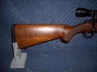 RUGER 77/22 IN 22 HORNET