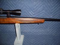 RUGER 77/22 IN 22 HORNET