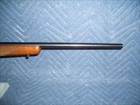RUGER 77/22 IN 22 HORNET