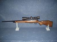 SAVAGE MODEL 25 IN 204 RUGER