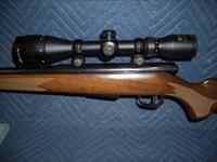 SAVAGE MODEL 25 IN 204 RUGER