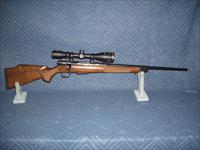 SAVAGE MODEL 25 IN 204 RUGER
