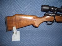 SAVAGE MODEL 25 IN 204 RUGER