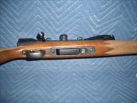 SAVAGE MODEL 25 IN 204 RUGER