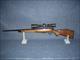 SAVAGE MODEL 25 IN 204 RUGER