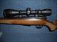 SAVAGE MODEL 25 IN 204 RUGER