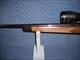 SAVAGE MODEL 25 IN 204 RUGER