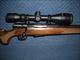 SAVAGE MODEL 25 IN 204 RUGER