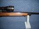 SAVAGE MODEL 25 IN 204 RUGER