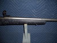 WINCHESTER MODEL 70 EXTREME WEATHER IN 264 WIN MAG