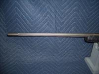 WINCHESTER MODEL 70 EXTREME WEATHER IN 264 WIN MAG