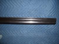 WINCHESTER MODEL 101 IN 12 GAUGE