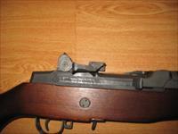 Polytech M14S 308 (Rare)