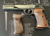 WTS Walther PP Sport .22LR