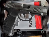 WTS Sig Sauer 365 XL