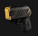 TASER Pulse