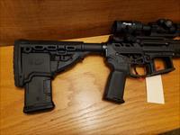 War dog Custom AR 15