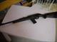 Marlin Camp 9 