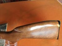 Winchester Model 141- Bolt Action - .22 LR -Rifle 