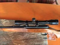Winchester Model 141- Bolt Action - .22 LR -Rifle 