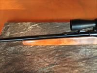 Winchester Model 141- Bolt Action - .22 LR -Rifle 