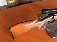 Winchester Model 141- Bolt Action - .22 LR -Rifle 